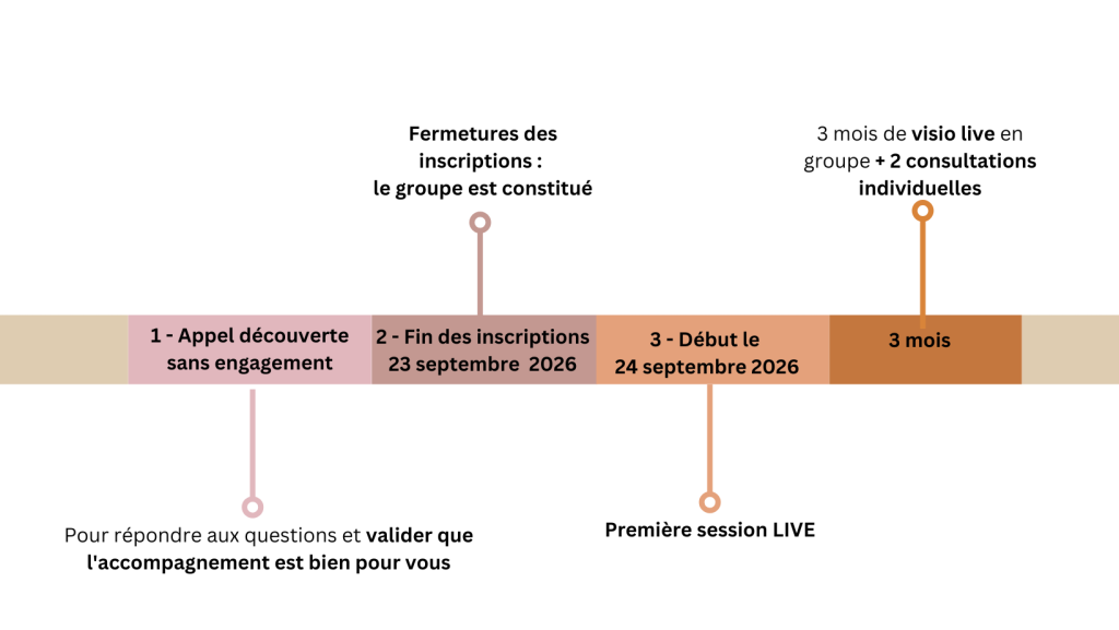 Formation MB-eat : mindful eating , alimentation en pleine conscience, gestion des compulsions alimentaires et de l'alimentation émotionnelle.